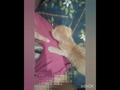 #buntu 🤎 #3weeks  #mashallah #love #pyare