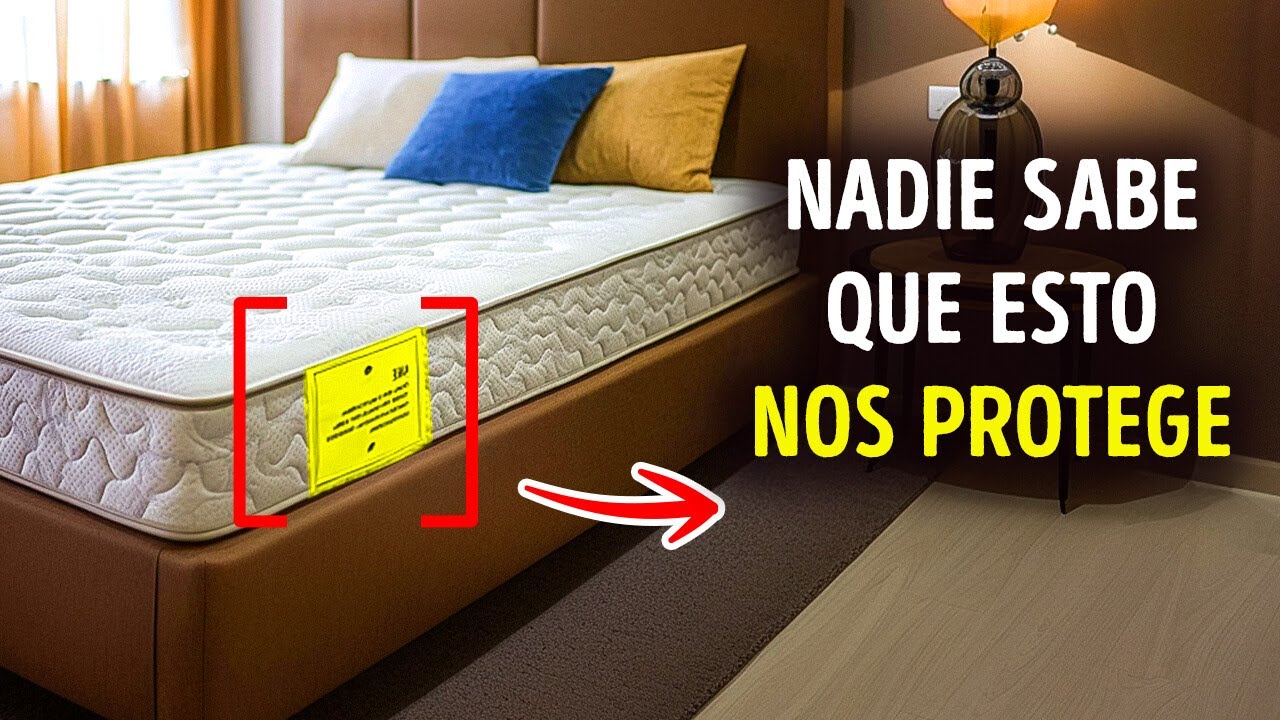 Más de 100 hechos asombrosos que te encantarán