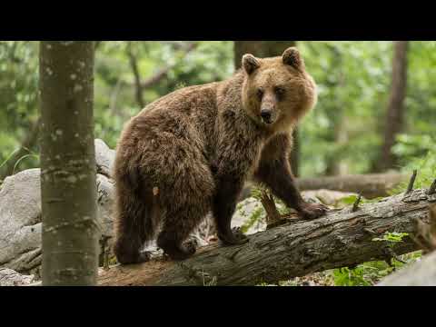 Unsichtbar, sichtbar, unvorstellbar