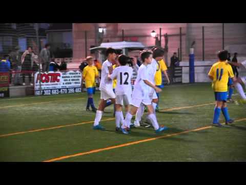 ALEVIN A BENIDORM  -  RAPID