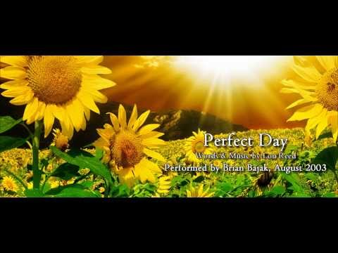 Lou Reed - Perfect Day Cover by Brian Bajak