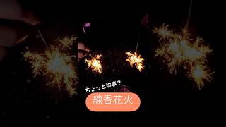 夏の思い出「線香花火」