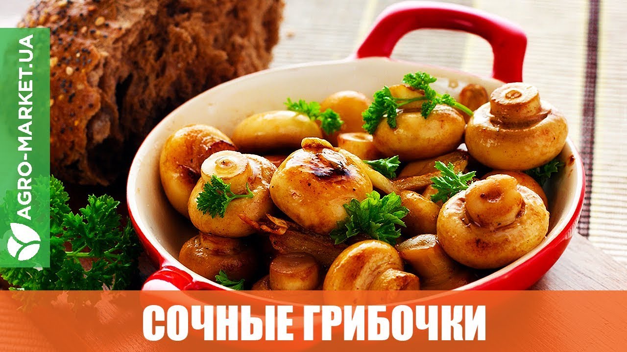 МИЦЕЛИЙ ГРИБОВ:  мицелий грибов почтой в е, Одессе и  .