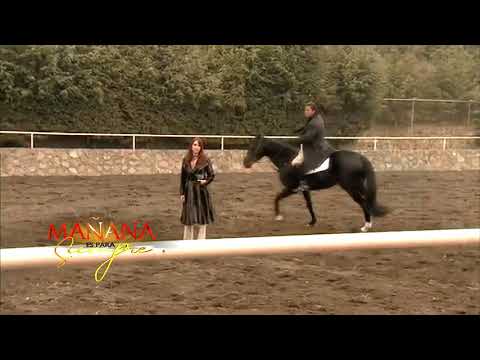 Lo mejor de Bárbara Greco #3 - A los desalmados también nos gusta pasear por el campo - MEPS