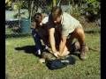 Steve Irwin S Wildest Animal Encounters Part 3