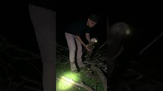 Download lagu Mencari kayu bakar di malam hari saat camping di alam liar mp3