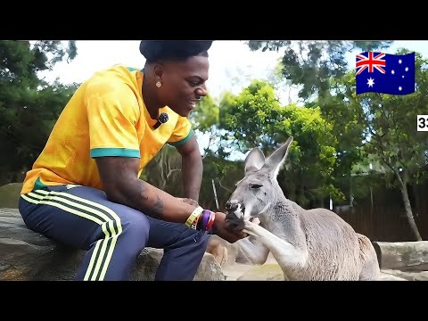 IShowSpeed Feeds a Kangaroo in Australia