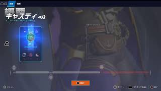 Overwatch　パッション