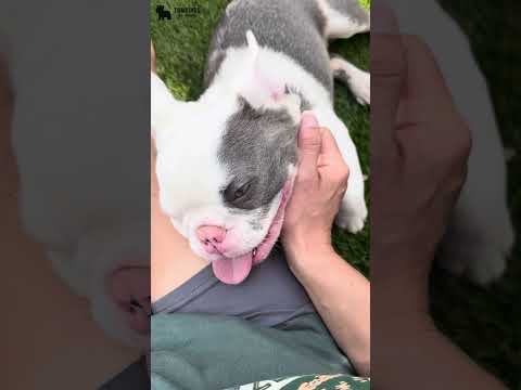 Video 2