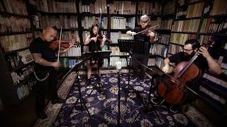 Vitamin String Quartet - New Slaves - 8/15/2017 - Paste Studios, New York, NY