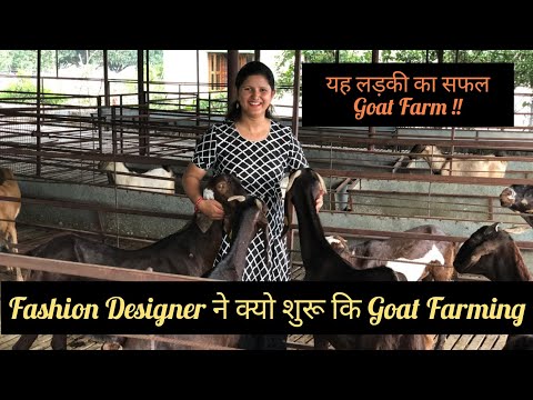 download lagu mp3 mp4 Goat Farming In Up In Hindi, download lagu Goat Farming In Up In Hindi gratis, unduh video klip Goat Farming In Up In Hindi
