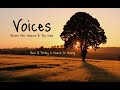 Voices -  Michael Allen Harrison & Tom Soma