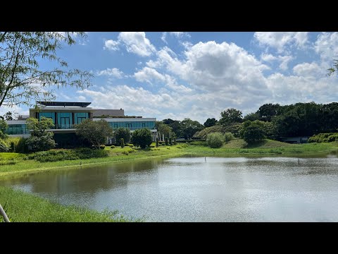 土曜1は「ヤシの木の下のセレブリティ」を放送。