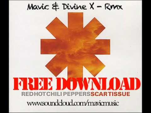 Glitch Noise & Divine X  - RHCP -Scartissue (Original Remix).wmv