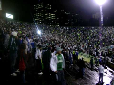 Palmeiras vs. Avai pt. 1