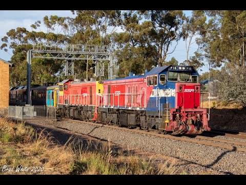 BL33 and 8125 on 7936V grain & P16, P17 and G541 on 9082 SSR transfer- 1/12/20