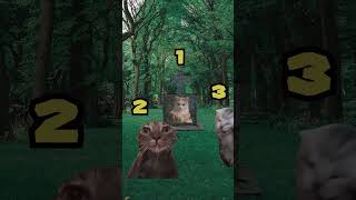 1, 2, 3 CAT SAD 😭 (CAT MEMES🐈) #shorts