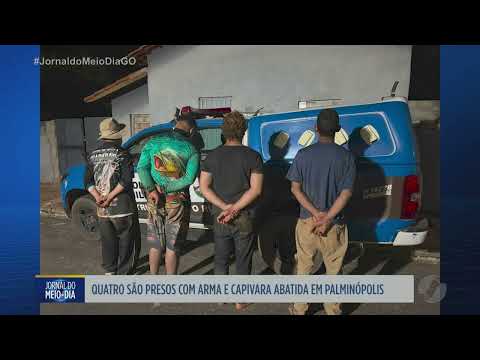 Quatro são presos com arma e capivara abatida em Palminópolis