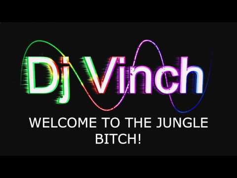 Showtek Vs. Alvaro & Mercer ft. Lil jon - We like to the jungle (Vinch mash)