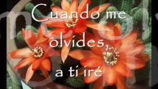 en tu estrella de Mago De Oz