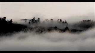 Warning - Echoes - Saddest guitar solo in history