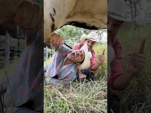 Vayan por la leche!!!😤😤 @losdenam ❤️