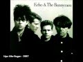 Echo And The Bunnymen - Lips Like Sugar (With Lyrics) - JC Pasquini Echo And The Bunnymen - Lips Like Sugar (With Lyrics)