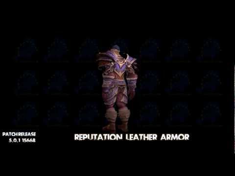 Mists Of Pandaria Leather Reputation Armor Set