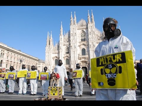 Lanalisi un calla su helminths la prova di haemo Se i posti possono causare lyambliya