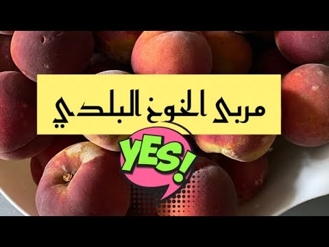 مربى الخوخ البلدي اللذة والمذاق/ confiture de pêche BIO/ Pfirsich 🍑 Marmelade