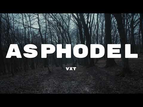VorteXistenT-Asphodel  (Official Video)