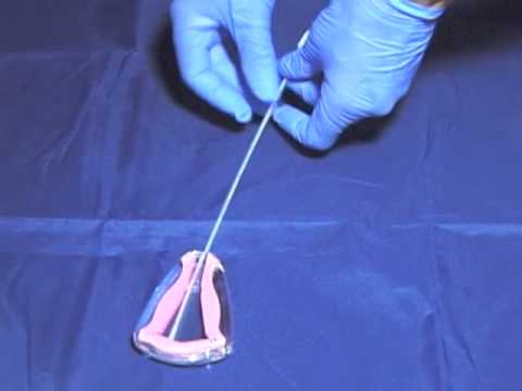 Endometrial Biopsy