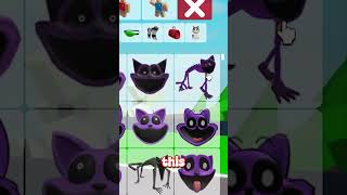 The BEST Catnap and DogDay Accessories in Brookhaven! 🐱