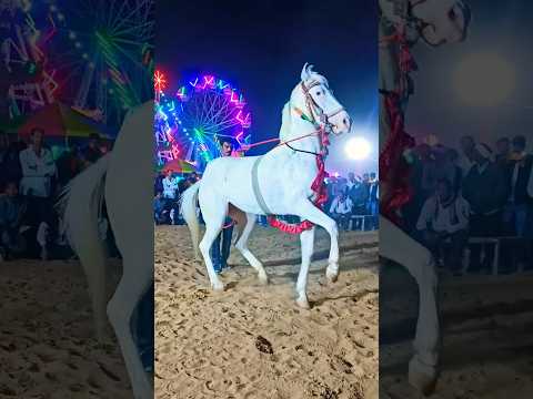 bajrang dal horse dance in delsar #horse #shorts #shortvideo