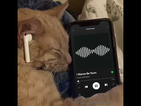 1 hora de ritmada interestelar!