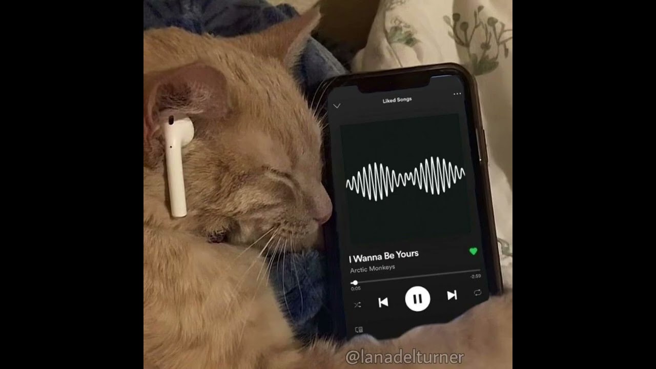 1 hora de ritmada interestelar!