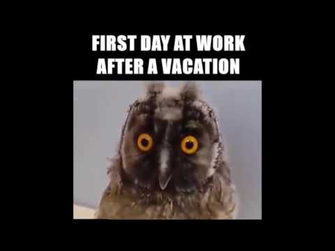 Första dagen efter semestern? Känner du igen dig?