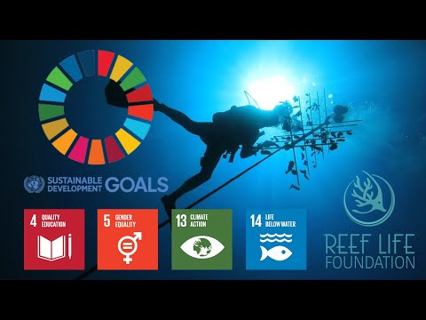 Women Cultural Education in Ocean Science