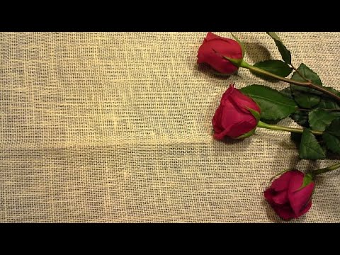 Emmylou Harris (Trio) - Lover's Return (Lyrics)  [HD]