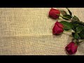 Emmylou Harris (Trio) - Lover's Return (Lyrics)  [HD]