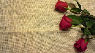 Emmylou Harris (Trio) - Lover&#39;s Return (Lyrics)  [HD]