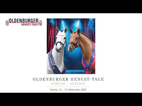 Trailer - Oldenburger Hengst Tage - November 2025