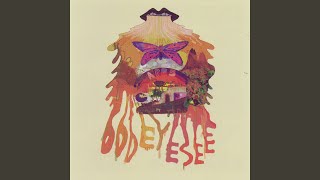 While Majestic Ape Sleeps