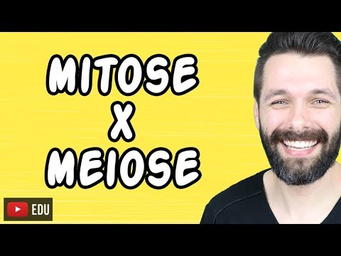 MITOSE E MEIOSE - Diferenças | Biologia com Samuel Cunha
