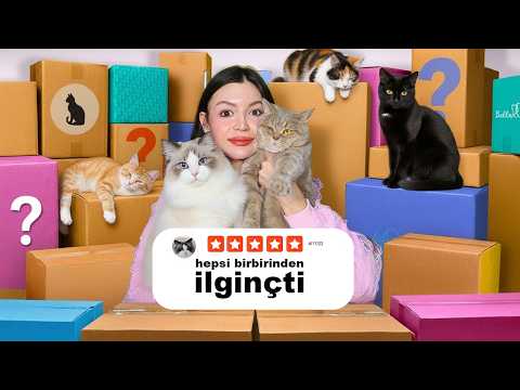 Türkiye’de OLMAYAN Kedi Ürünlerini 4 Kedime Denettim… Sonuç ŞOK!