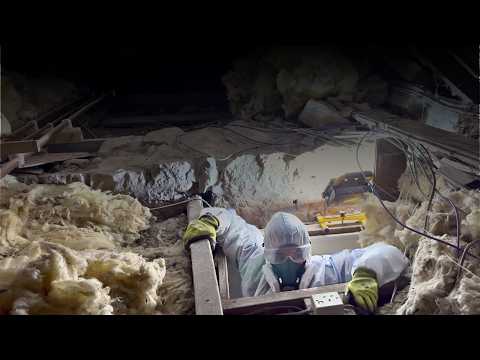 We Shouldn’t Have Gone Into the 300 Year Old Loft