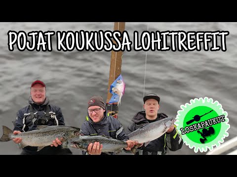 Loskapaukut - Pojat Koukussa Lohitreffit