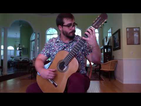 2017  Tim Steis guitar