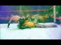 Rey Mysterio Titantron 2012 "Booyaka 619" HD ...