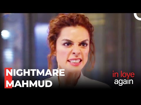 Chaos At The Company - In Love Again